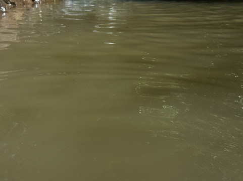 Overall Run Swimming Hole-Bentonville必去景点