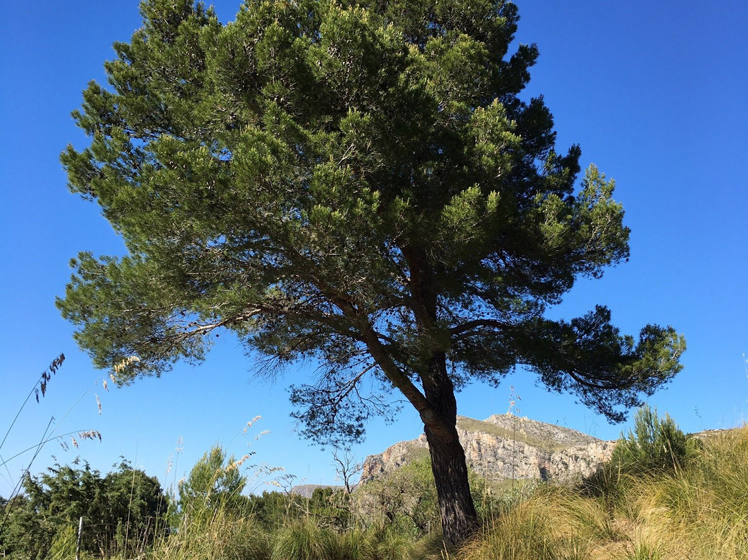 Ermita de Betlem-Arta必去景点