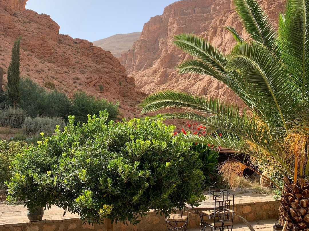 Auberge le Festival主图