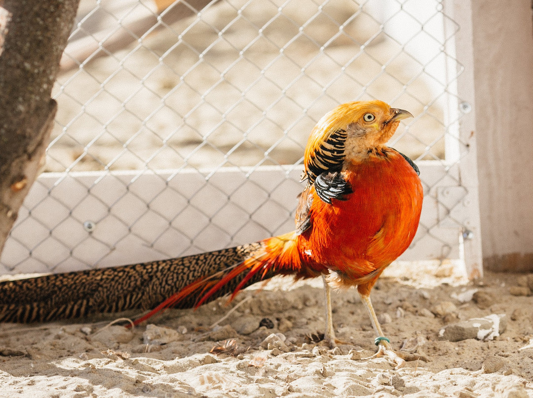 Eco Complex Kazeyevka-Kazeyevka必去景点