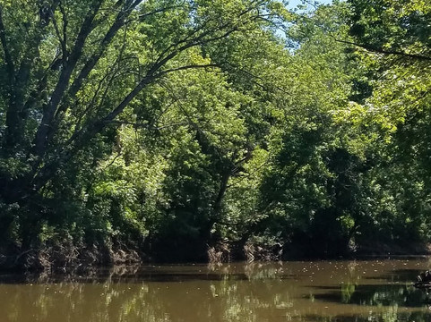 Blue Moon Canoe and Kayak-路易斯维尔必去景点