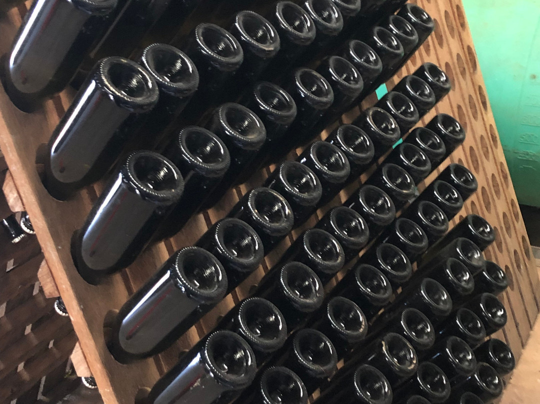 Cuttaway Hill Wines-Exeter必去景点