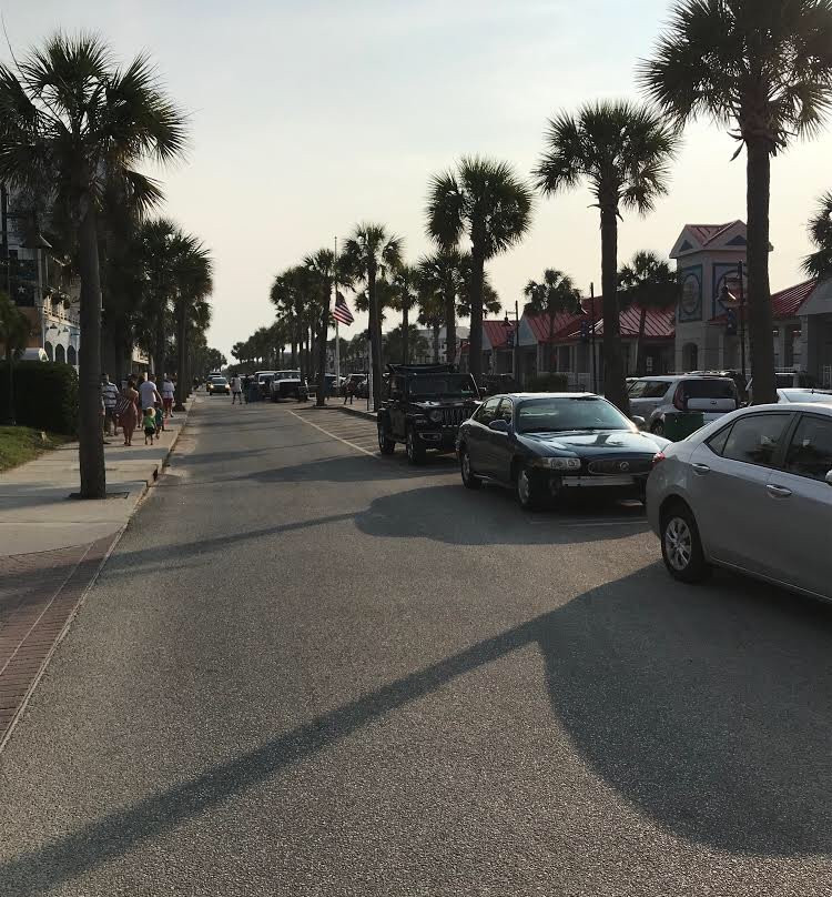 棕榈林海滨酒店主图