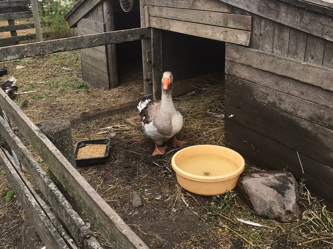 Uue-Kuristu OÜ-Aasmae必去景点