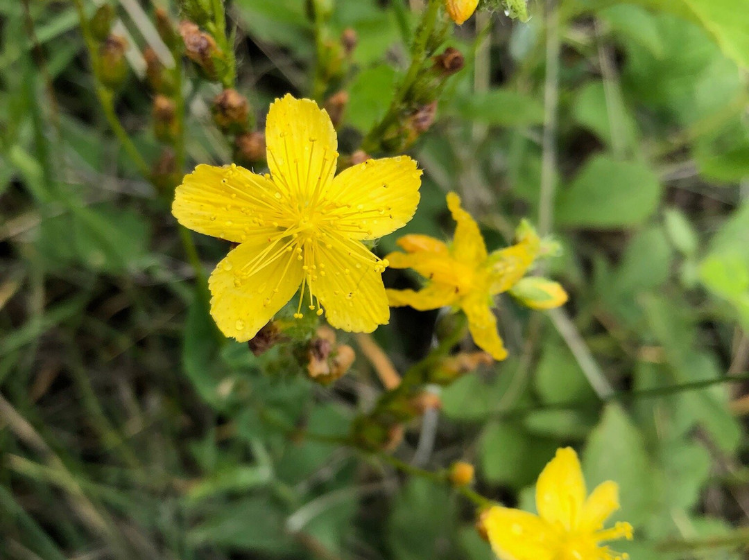 Macedonia Travel-斯科普里必去景点