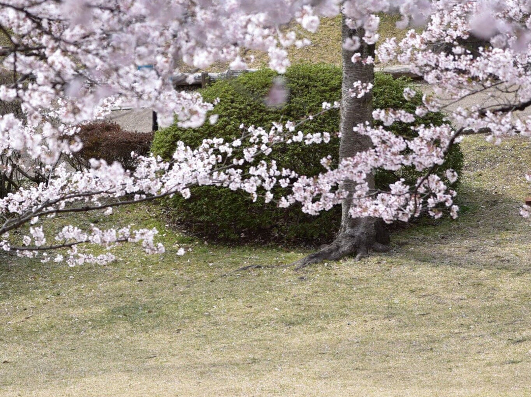 Hachimanyama Park景点图片