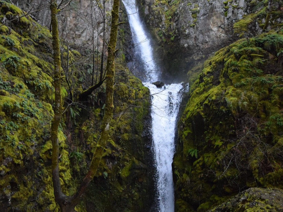 Starvation Creek State Park-Cascade Locks必去景点