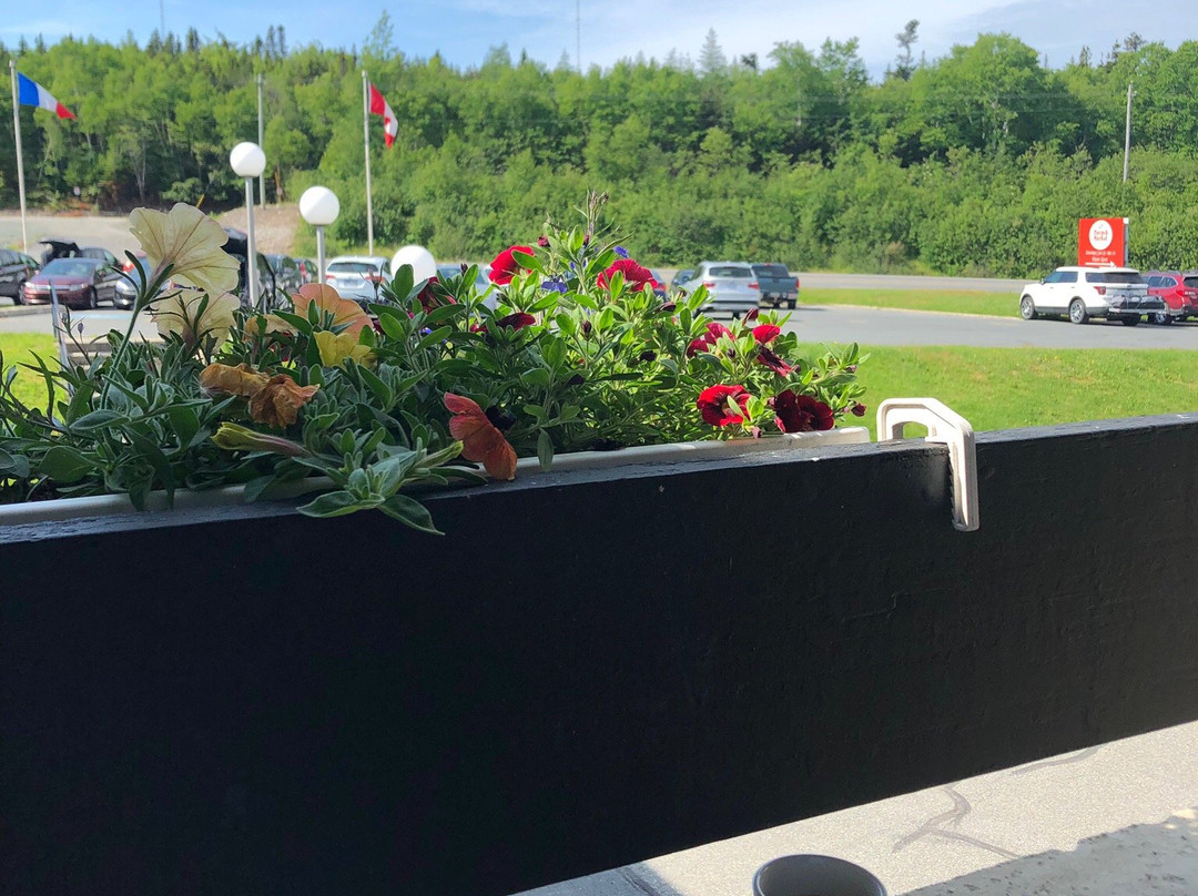 Clarenville Inn主图