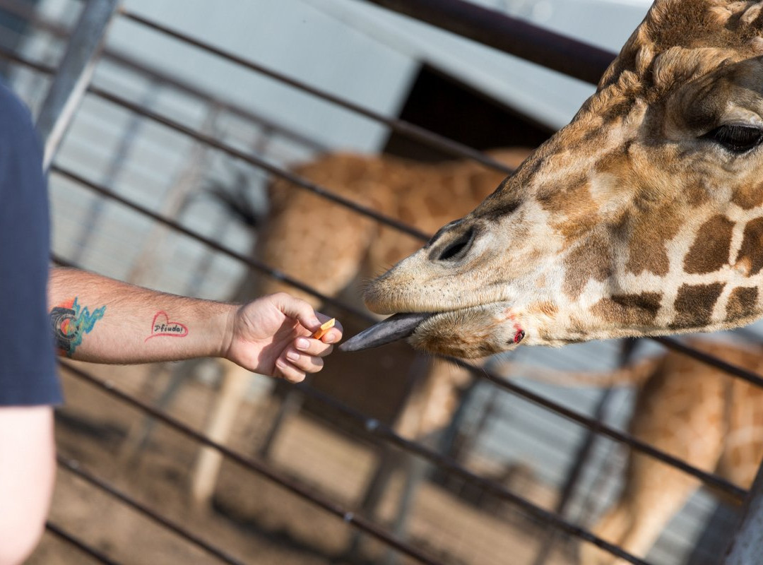 Hedrick's Exotic Animal Farm-Nickerson必去景点