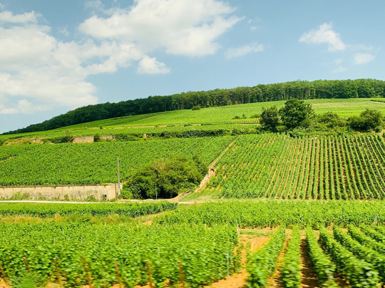 Divignes-博讷必去景点