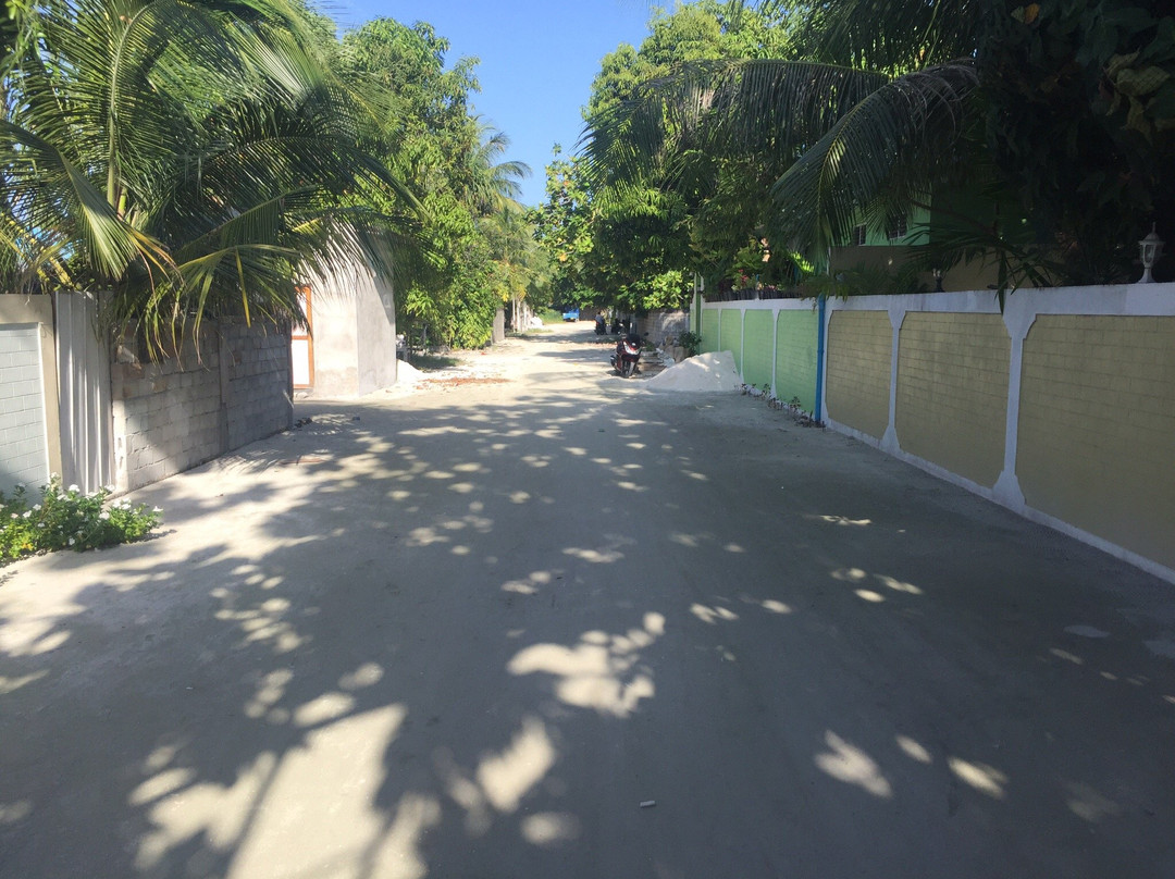 Whale Shark Inn主图