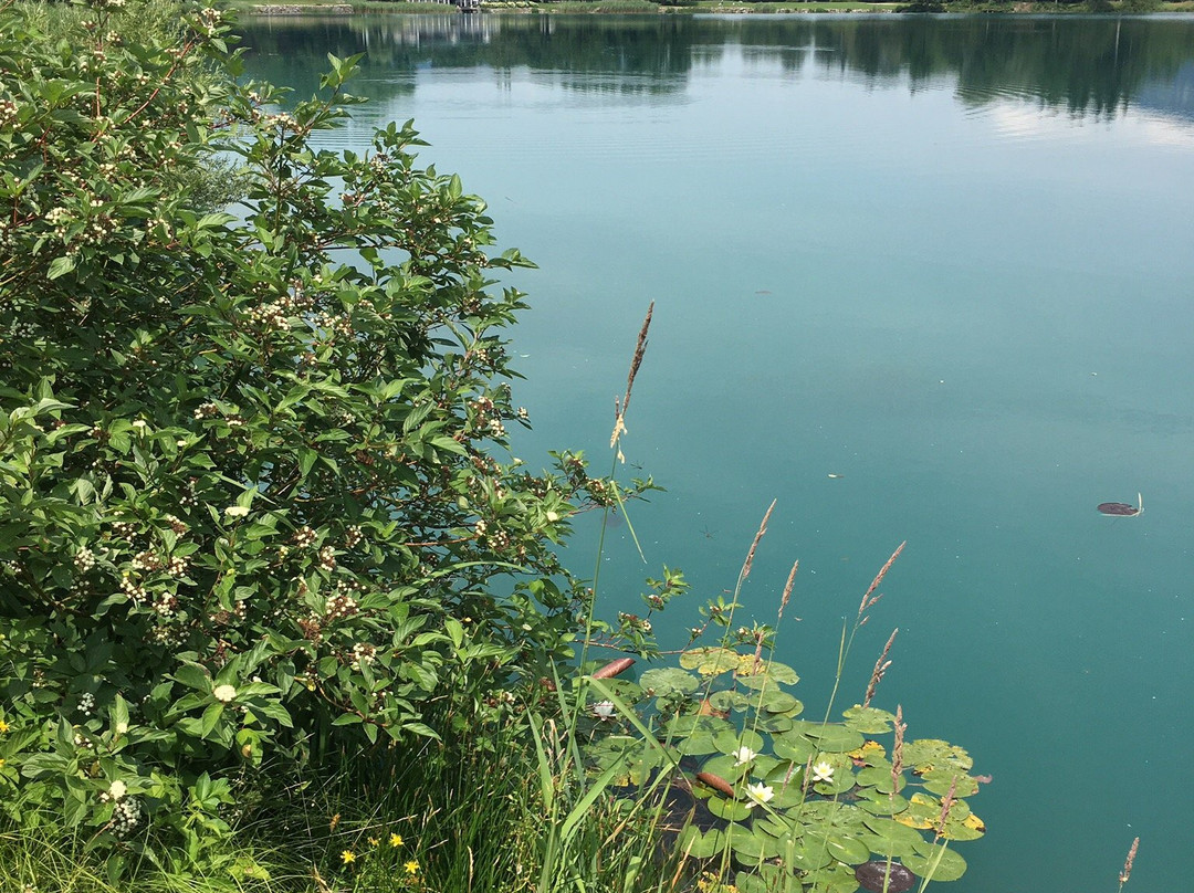 Golfclub Am Mondsee-月亮湖必去景点