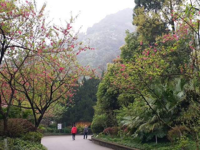 桂林西山景区景点图片
