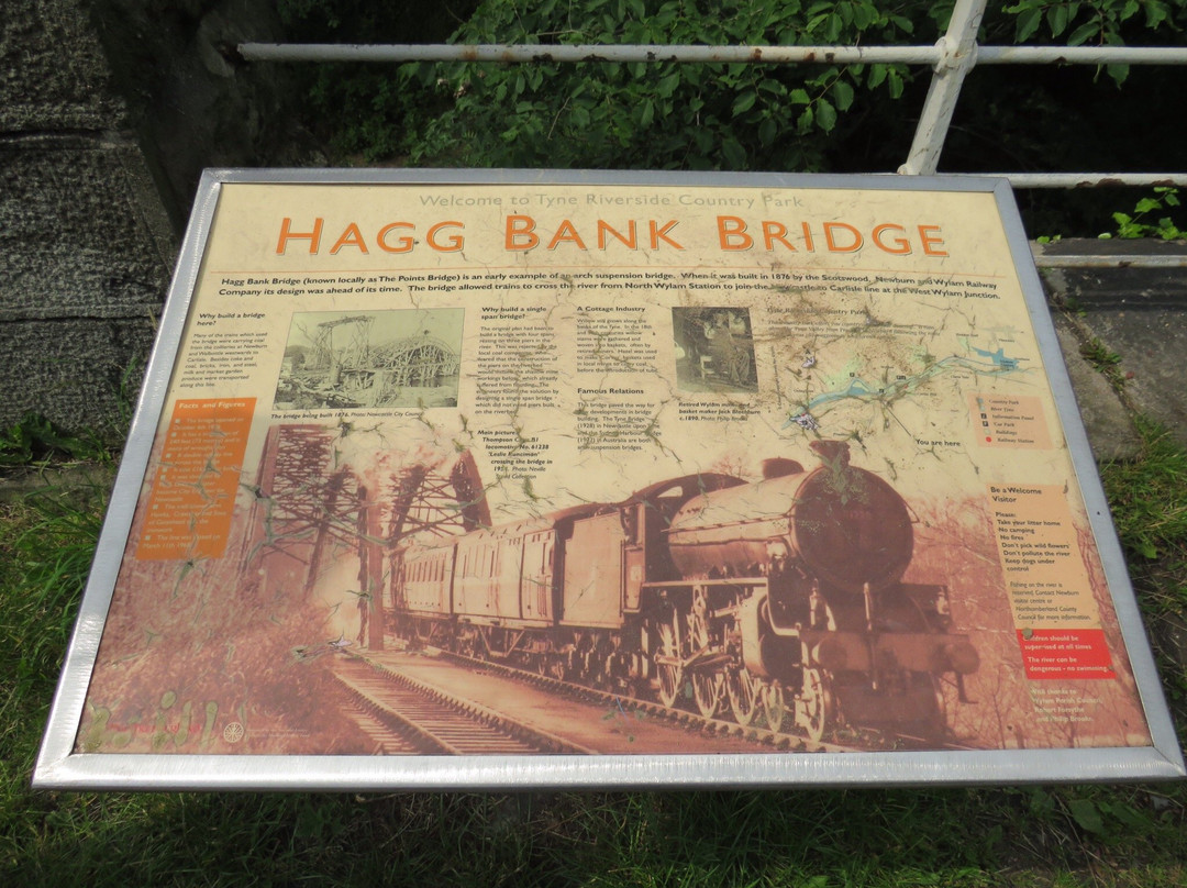 Hagg Bank Bridge-Wylam必去景点