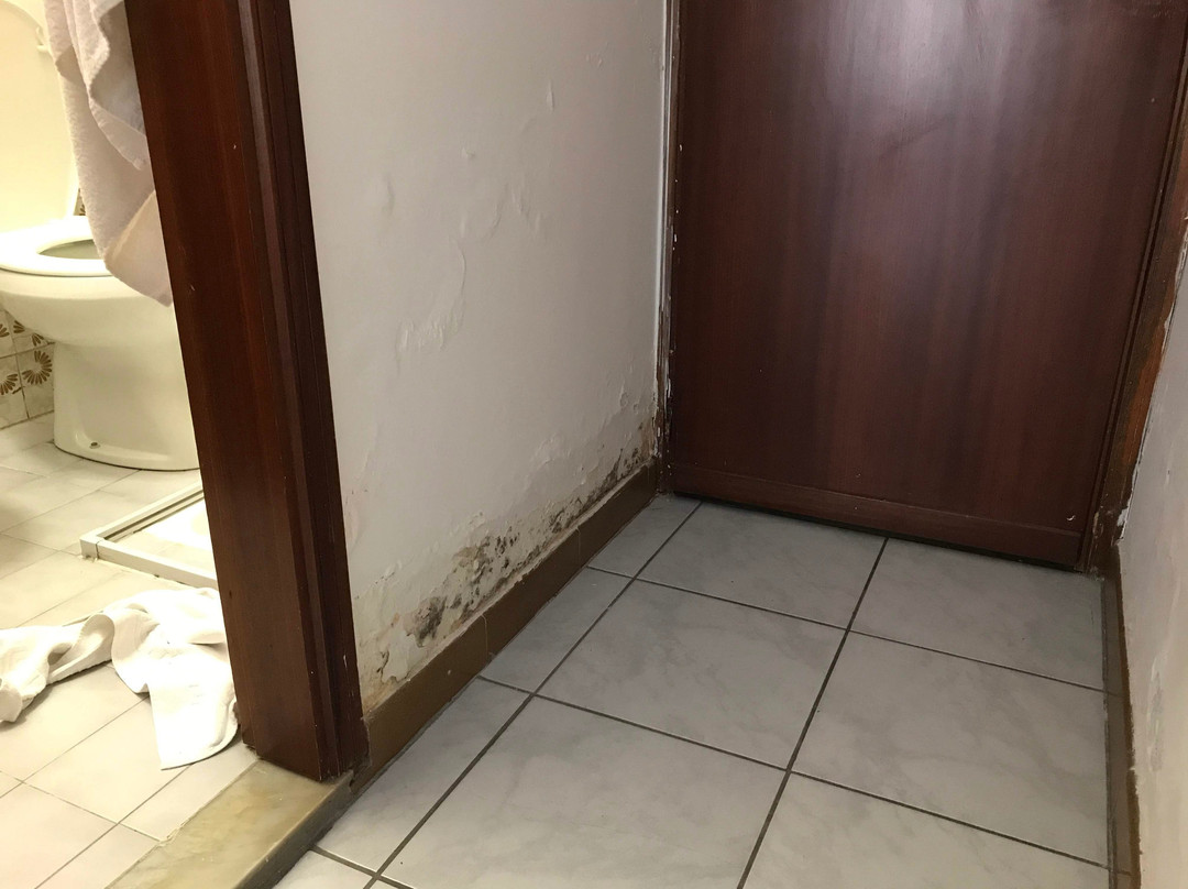 La Scogliera主图