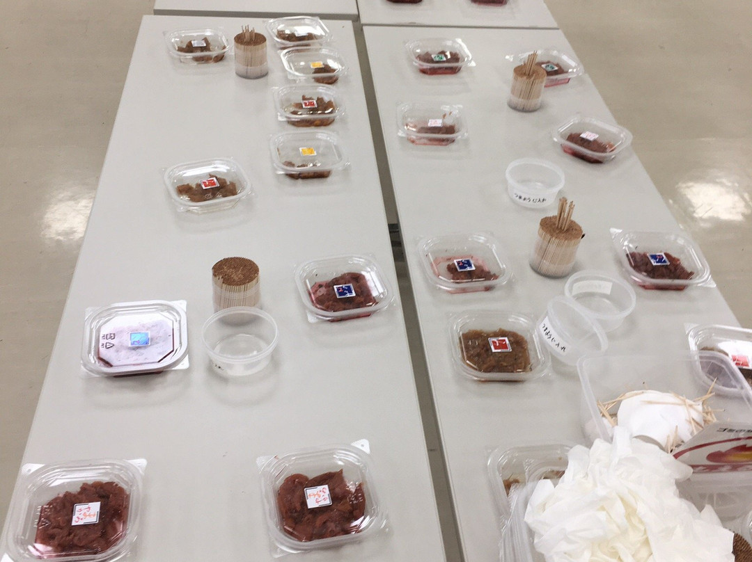 Kishu Umeboshi-kan-南部町必去景点