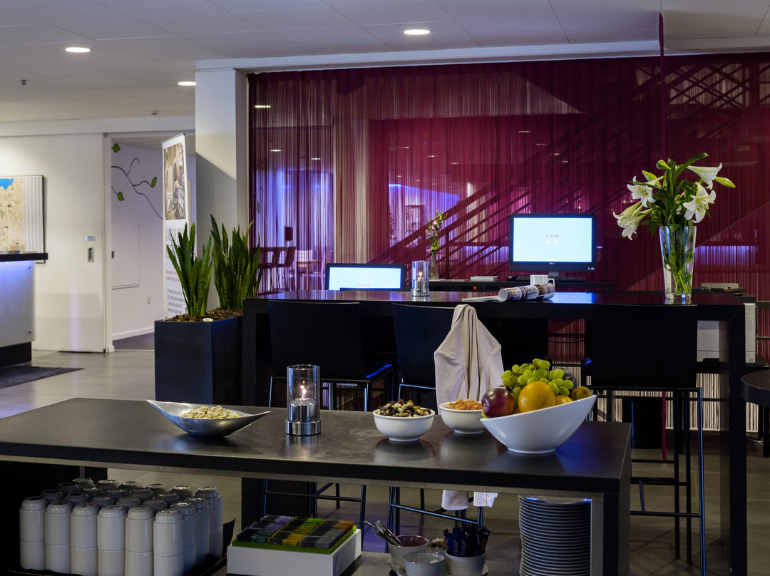 欧登塞斯堪迪克酒店主图