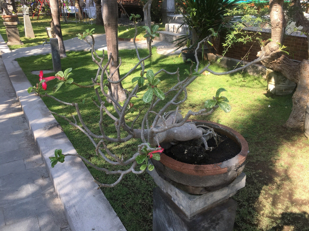 绿洲酒店主图