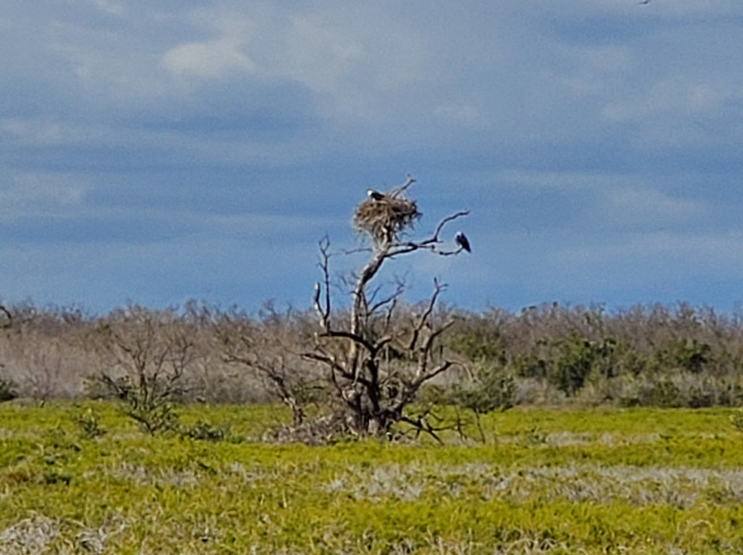 Coastal Prairie Trail-大沼泽国家公园必去景点
