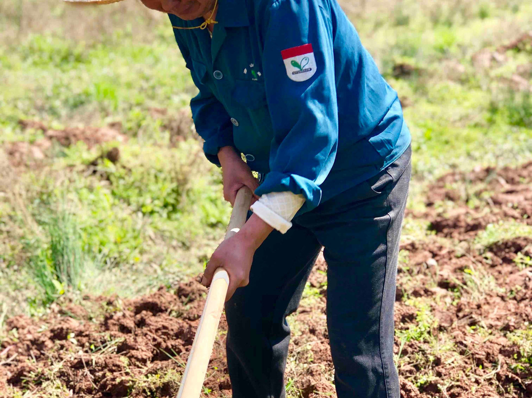 黄山屯溪山城-黄山市必去景点