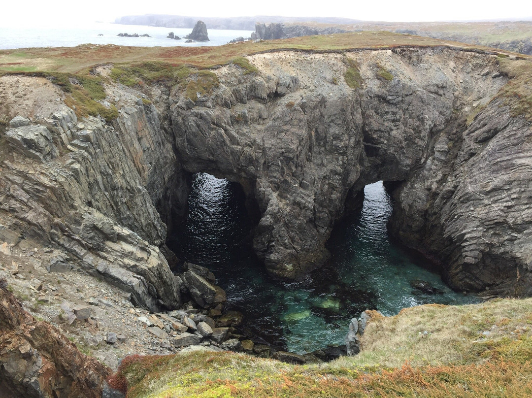 Butler's By The Sea Bed and Breakfast主图