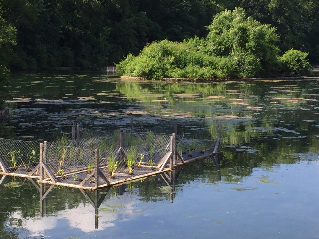 Sequiota Park-斯普林菲尔德必去景点