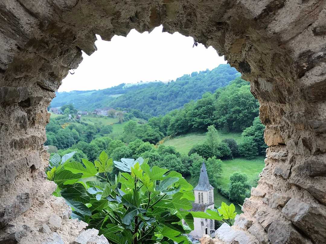 Chateau Belcastel Tower Suite主图