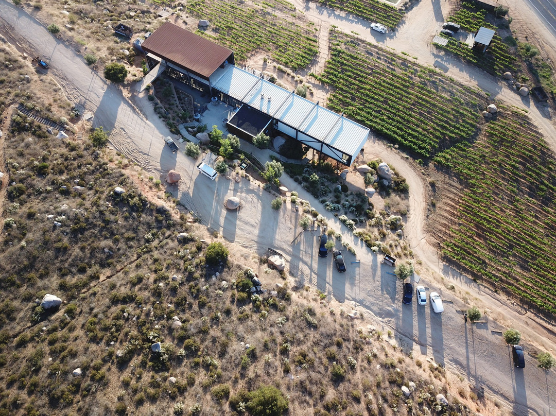 Encuentro Guadalupe主图