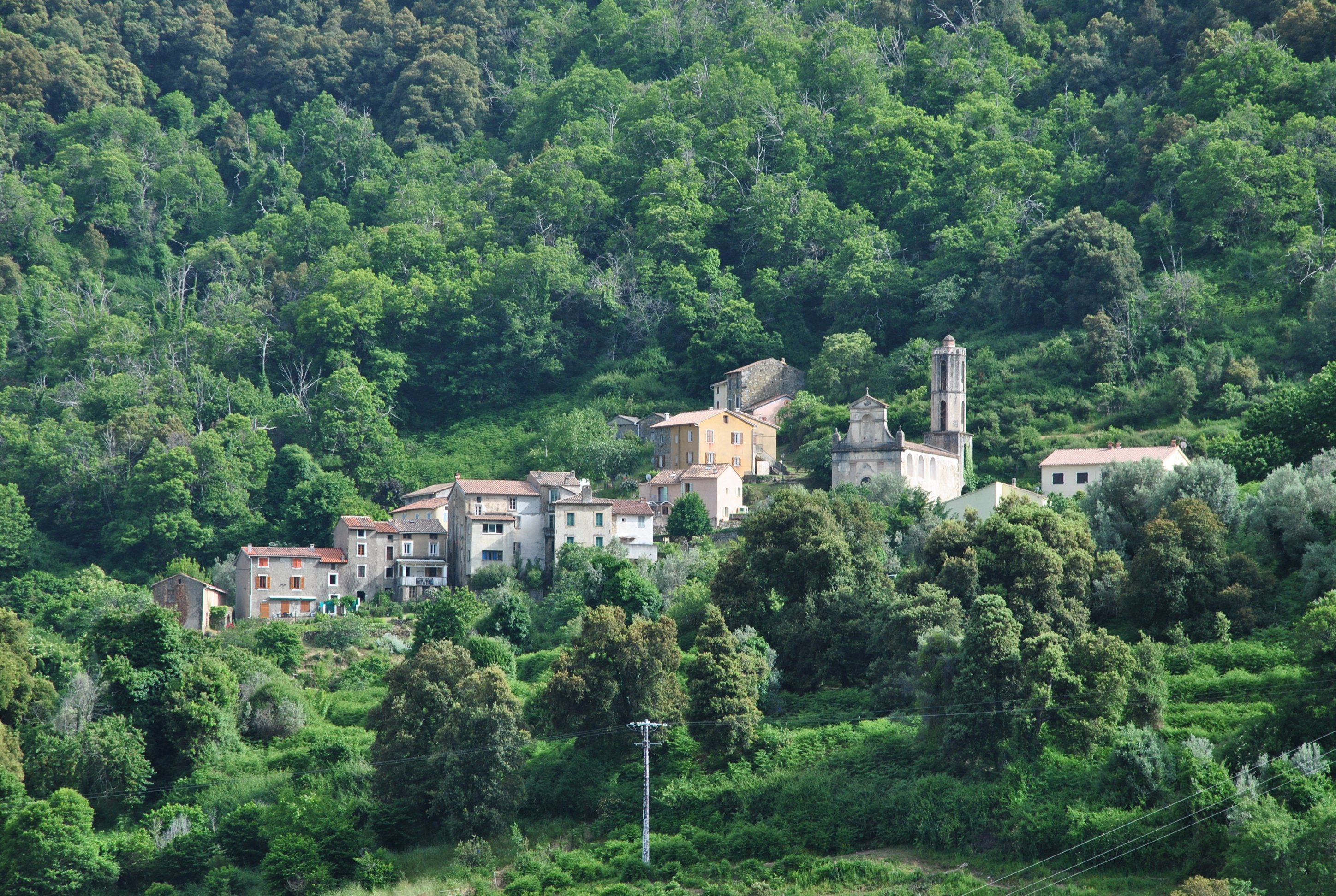 Domaine U Bugnu-酒店景观