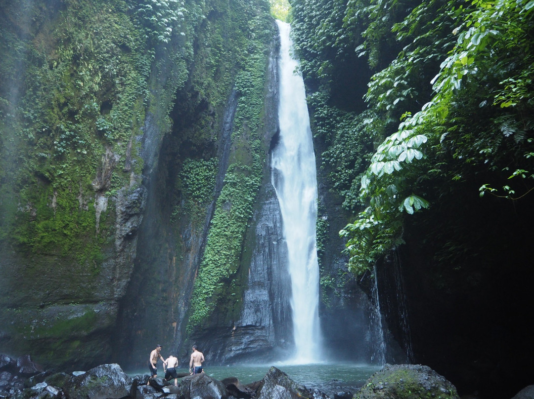 Lotus Guesthouse主图