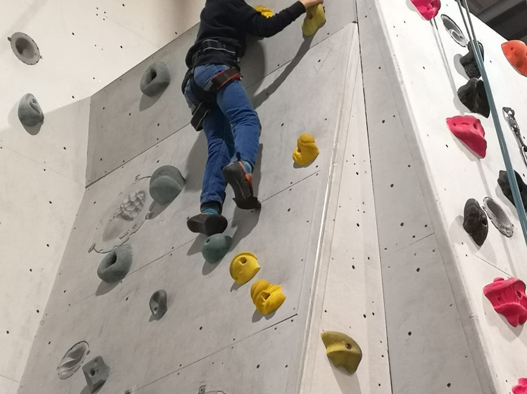 Indy Climbing Wall景点图片