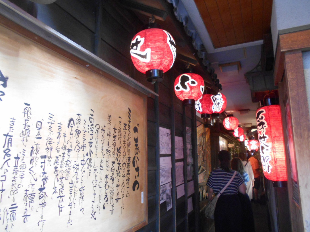 Ukiyokoji Street-Dotombori必去景点