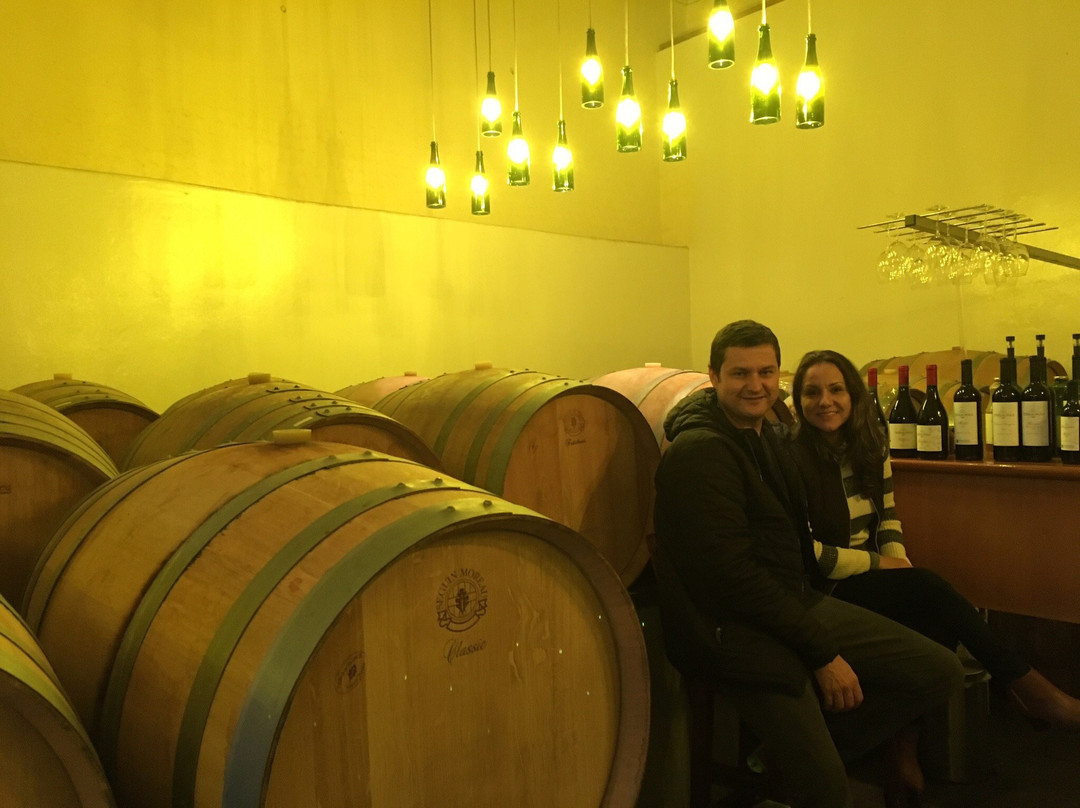 Vinícola Terragnolo-本图贡萨尔维斯必去景点