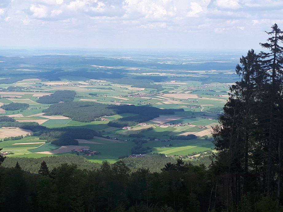 Sport- Und Freizeitzentrum Hohenbogen景点图片