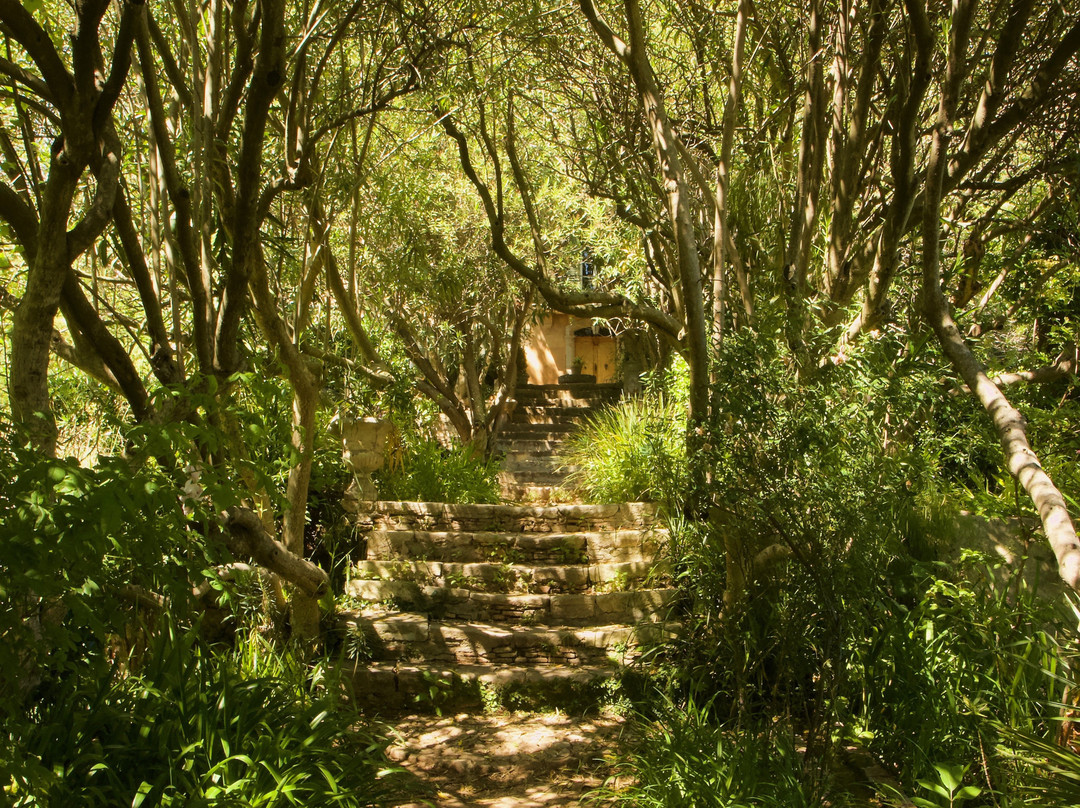 Jardin Botanique Du Baudouvin景点图片