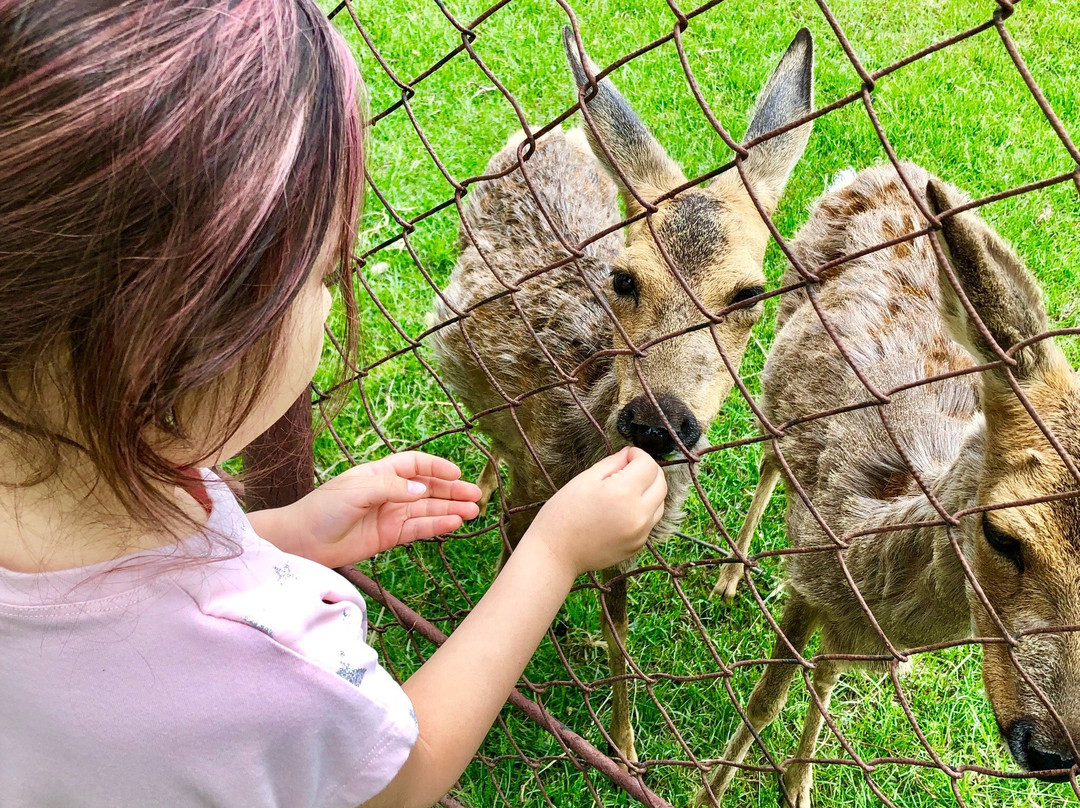 Almaty Zoo-阿拉木图必去景点