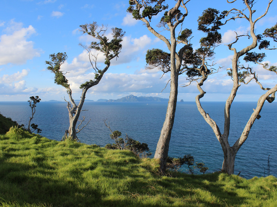 Mangawhai Walkway景点图片