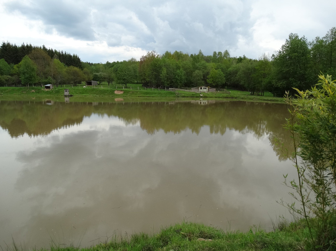 Vosges Chambres d'hotes主图