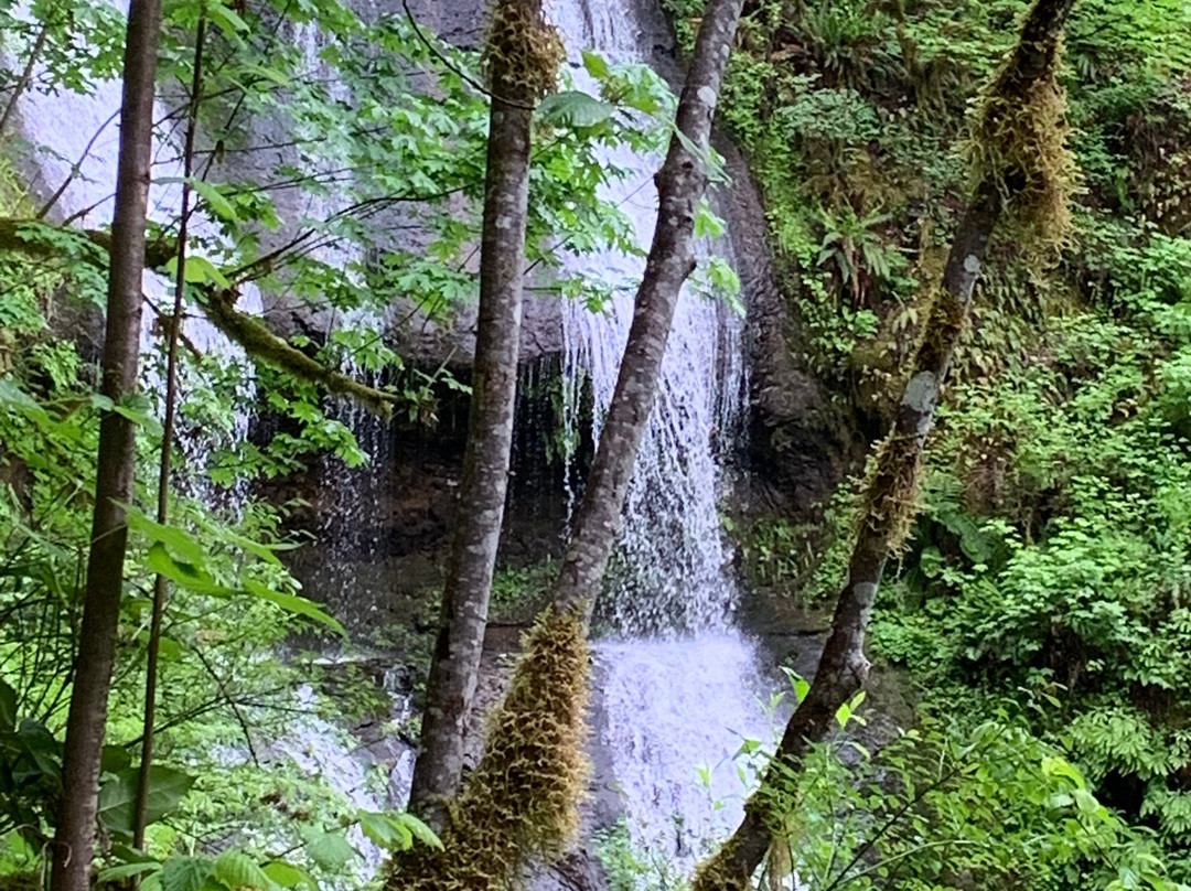 McDowell Creek Falls-Lebanon必去景点