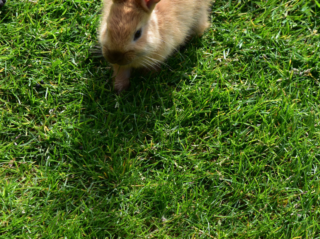 海洋山林小屋主图
