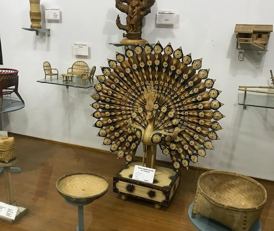 Don Bosco Centre for Indigenous Cultures景点图片