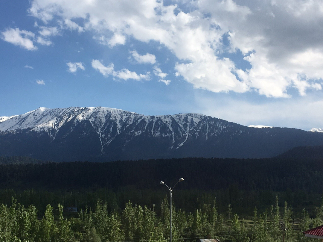 Hotel Signature主图