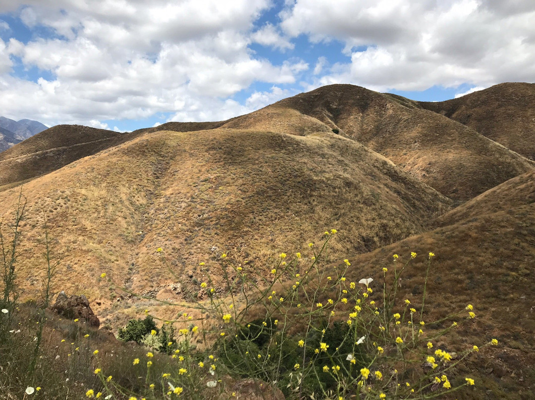 Walker Canyon Trailhead-埃尔西诺湖必去景点