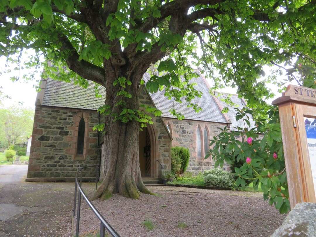 Saint Ternans Episcopal Church景点图片