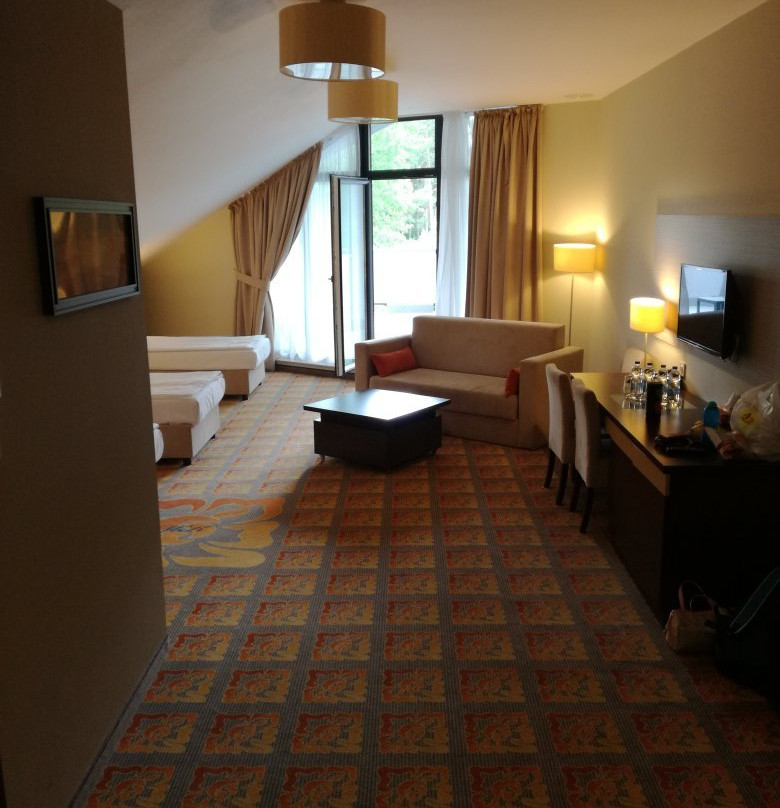Via Baltica Hotel主图