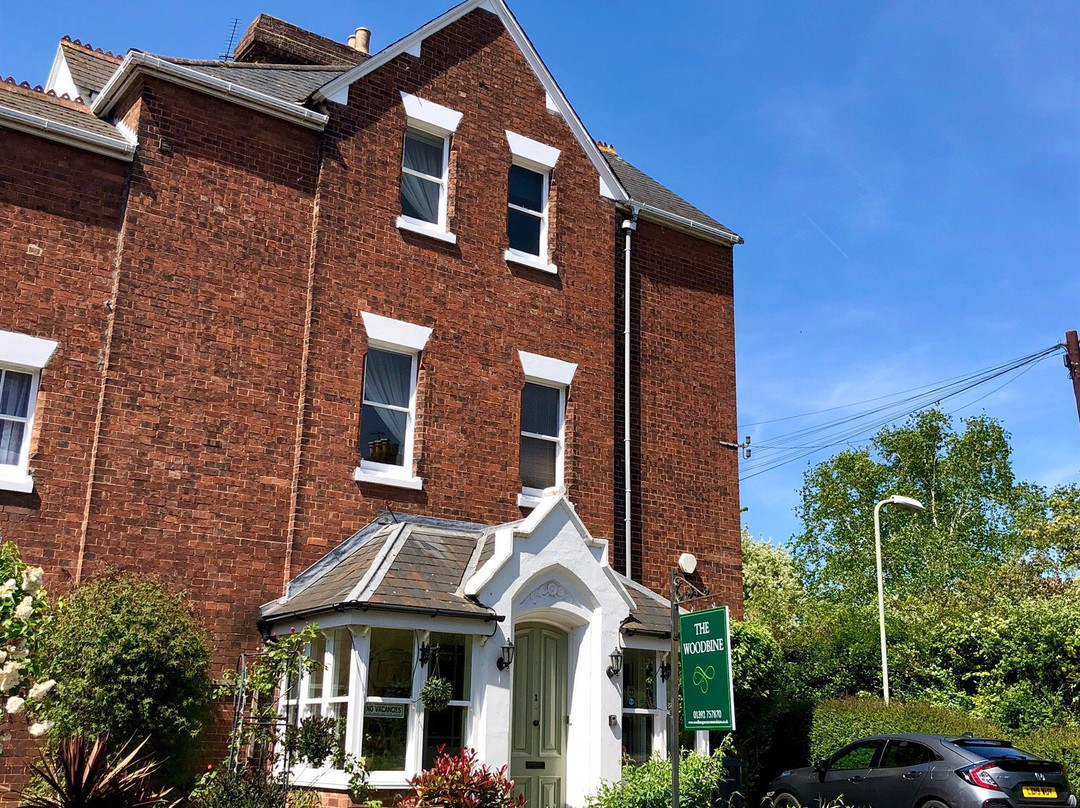 Woodbine Guest Accommodation主图