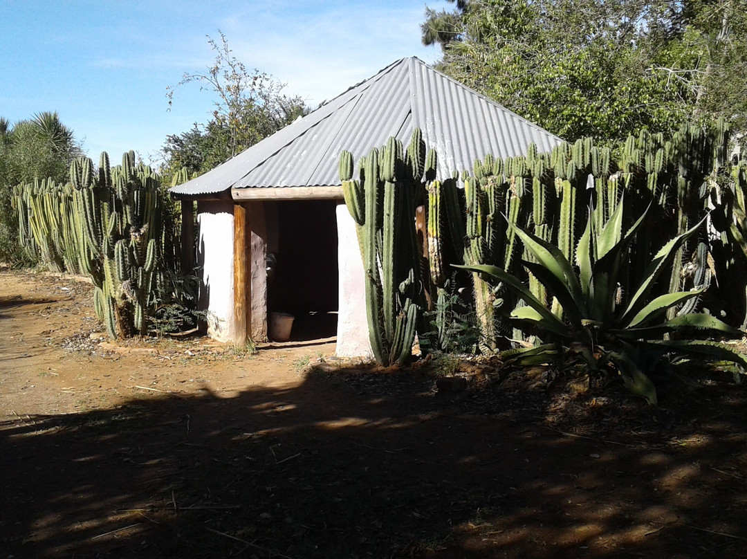 Obesa Cacti Nursery-格拉夫-里内特必去景点