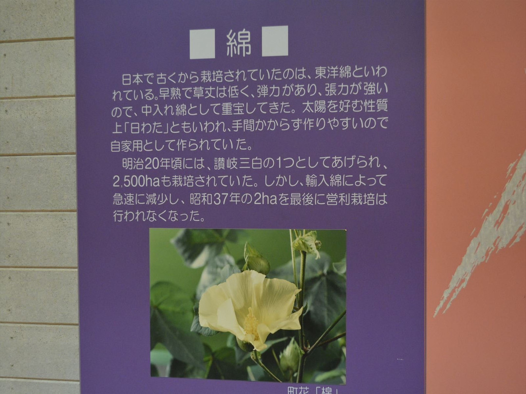 Toyohama Kyodo Shiryokan景点图片
