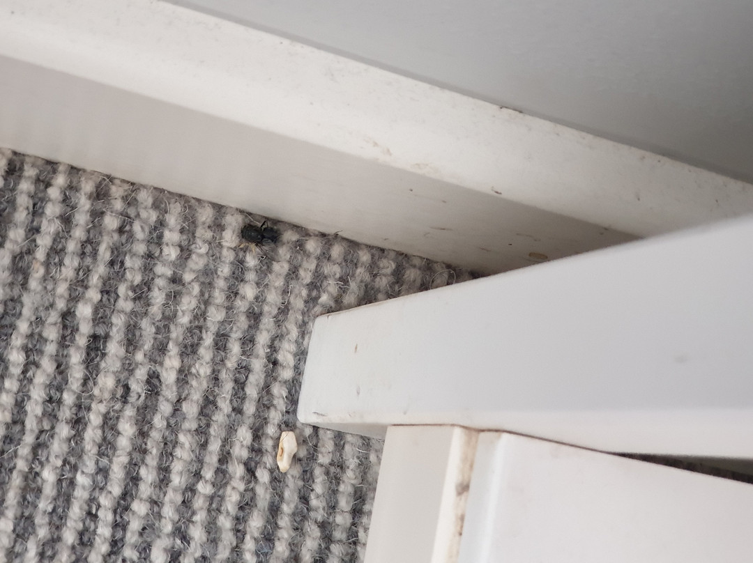 Castaways B&B and Guest House主图