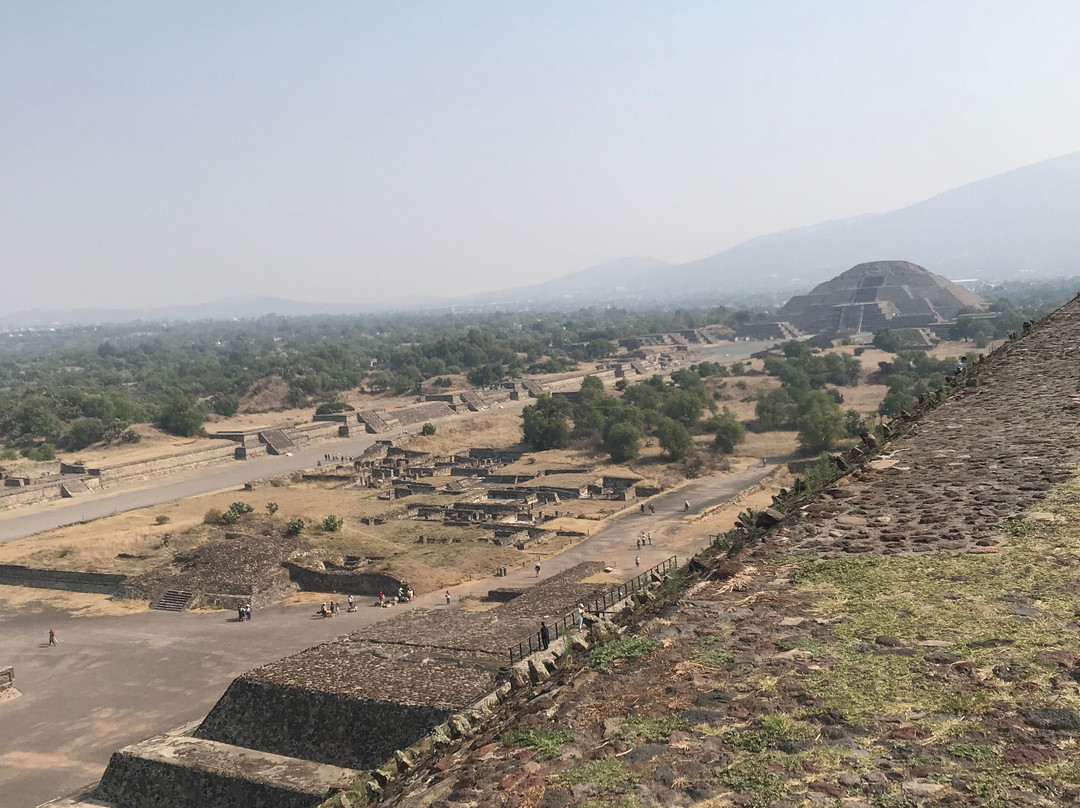 BlueBus.-墨西哥城必去景点